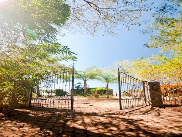 Tamarindo Home 964661