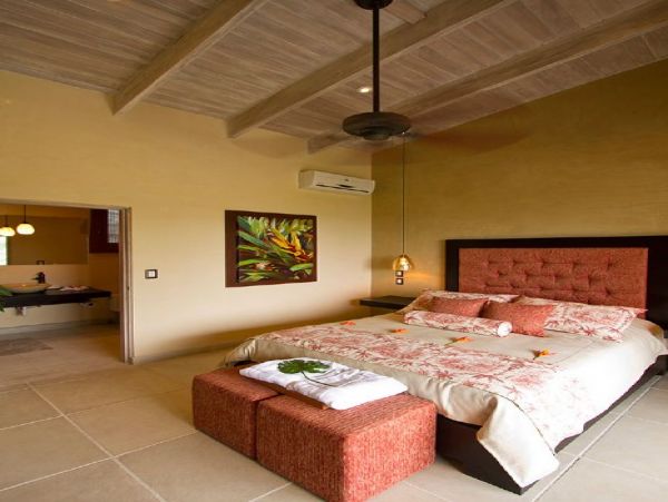 Tamarindo Home 964662