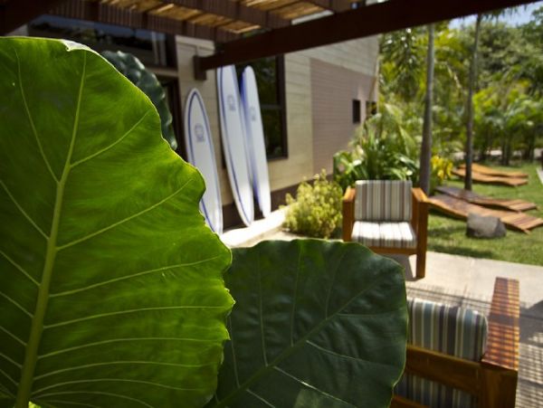 Tamarindo Home 964663