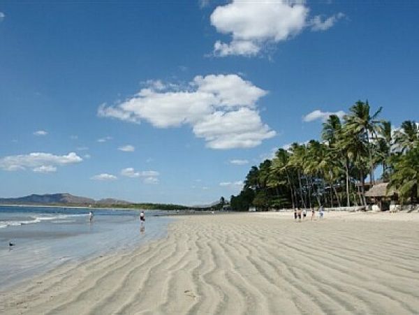 Tamarindo Home 964666