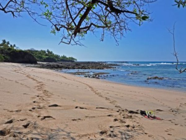 Tamarindo Home 964670