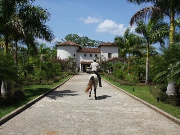 Tamarindo Home 964671
