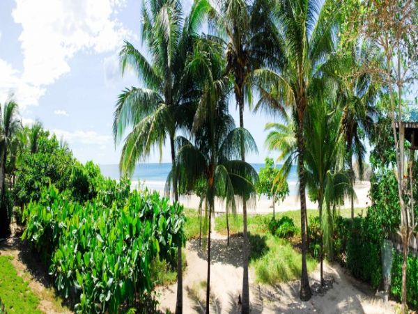 Tamarindo Home 964672