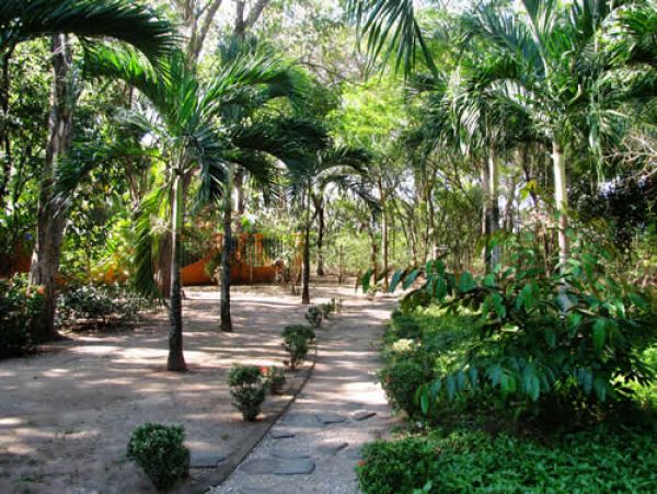 Tamarindo Home 964674