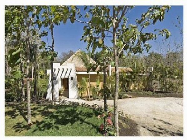 Tamarindo Home 964675