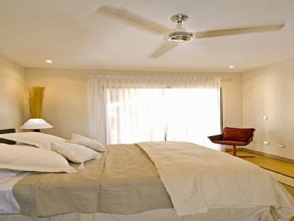 Tamarindo Home 964675
