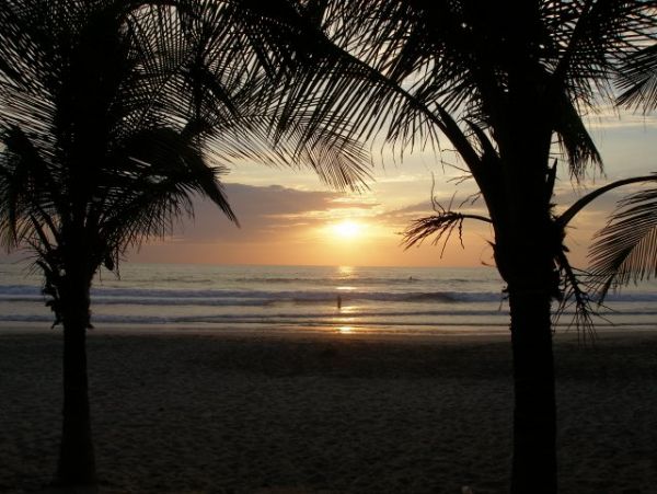 Tamarindo Home 964681