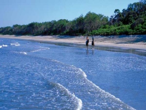 Tamarindo Home 964681