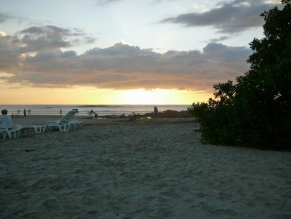 Tamarindo Home 964682