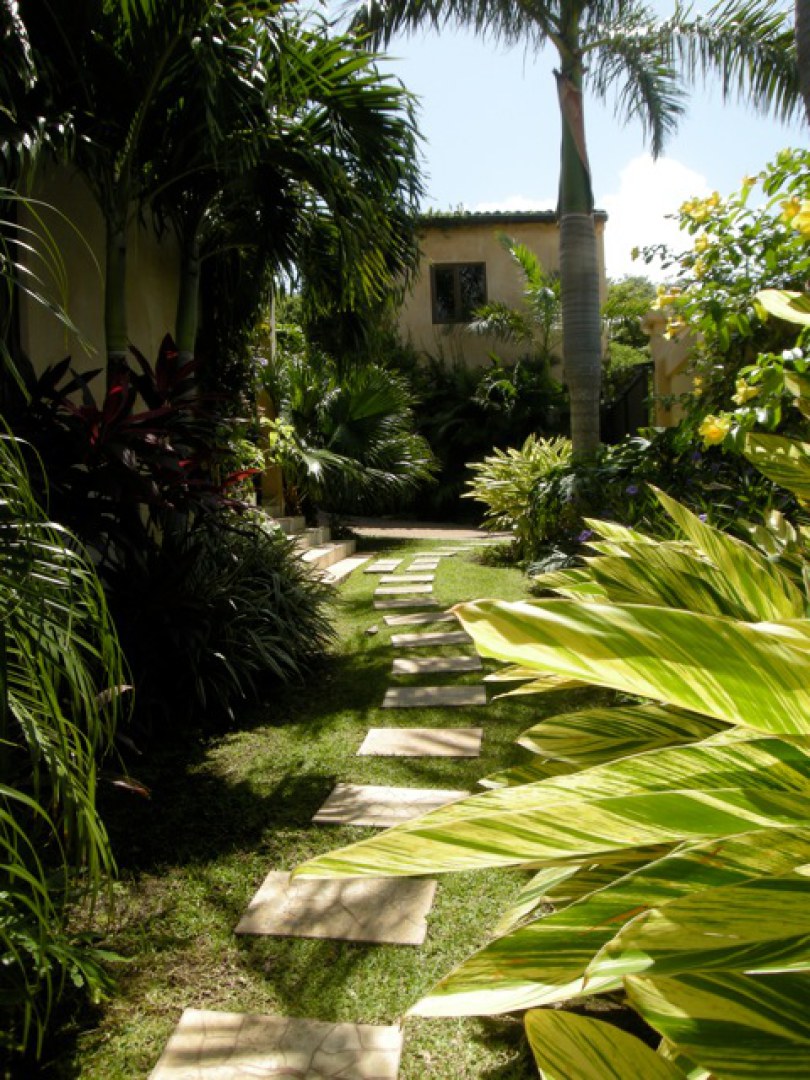 Tamarindo Home 964683
