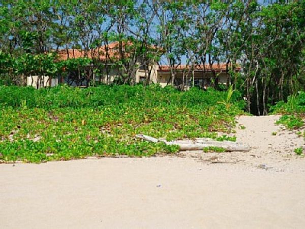 Tamarindo Home 964684