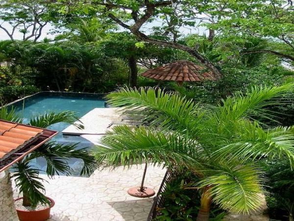 Tamarindo Home 964686
