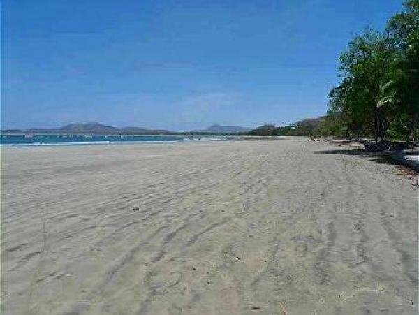 Tamarindo Home 964688