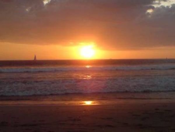 Tamarindo Home 964690