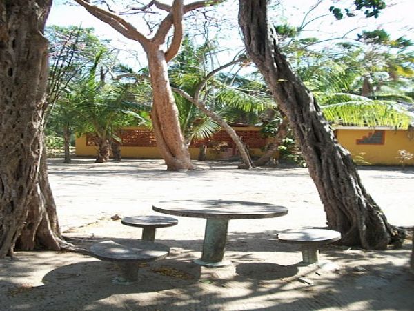 Tamarindo Home 964690