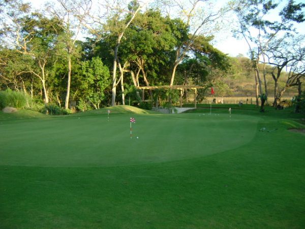 Tamarindo Home 964691