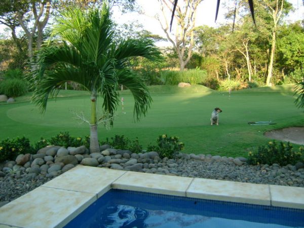 Tamarindo Home 964691