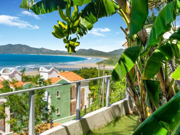 Tamarindo Home 964693