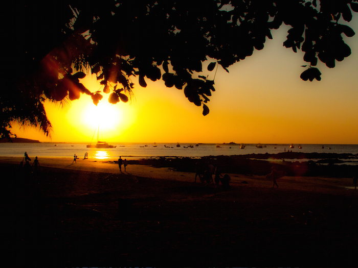 Tamarindo Home 964694