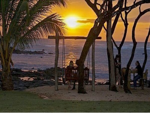 Tamarindo Home 964699