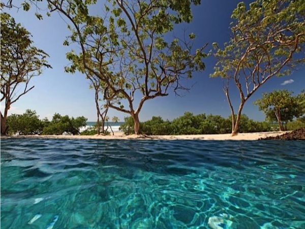 Tamarindo Home 964699