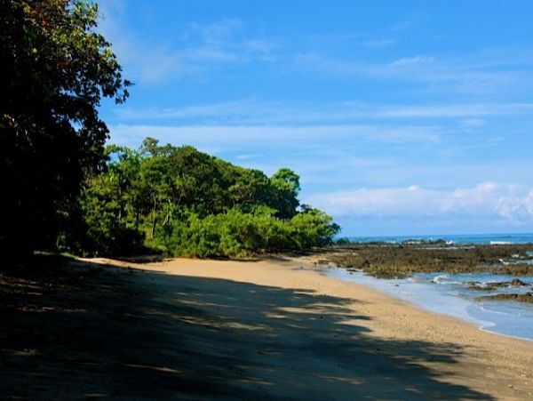 Tamarindo Home 964699