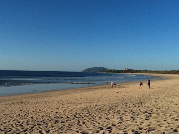 Tamarindo Home 964699