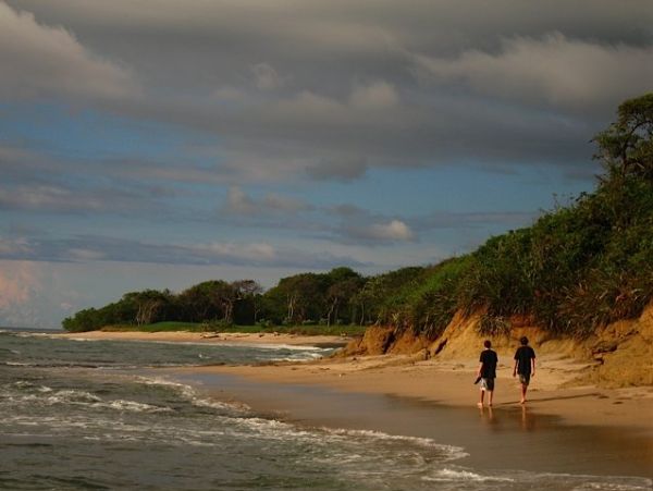 Tamarindo Home 964699