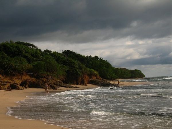 Tamarindo Home 964699