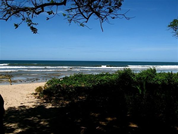 Tamarindo Home 964699