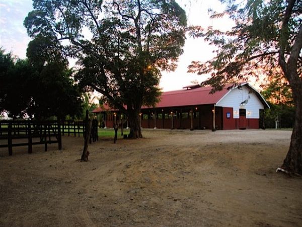 Tamarindo Home 964699