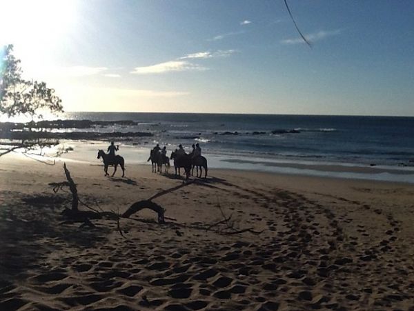 Tamarindo Home 964699