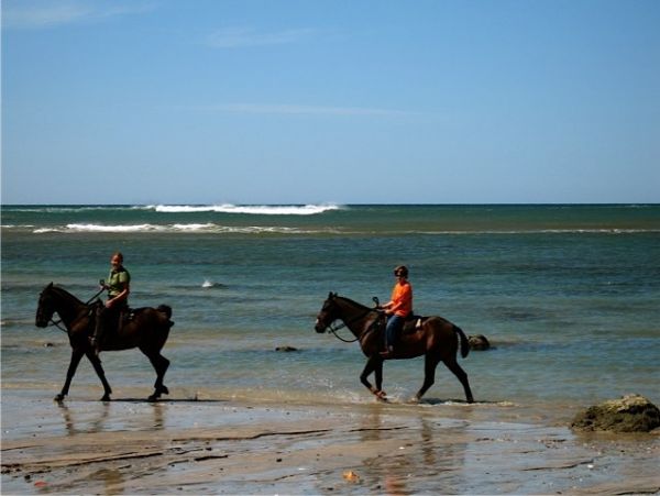 Tamarindo Home 964699