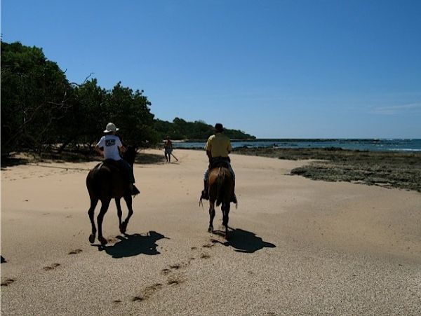 Tamarindo Home 964699