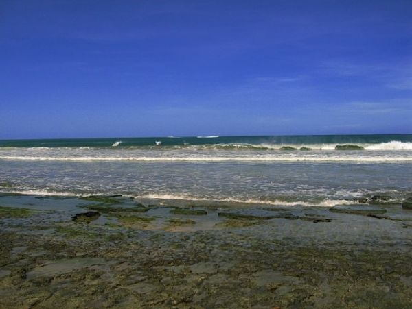 Tamarindo Home 964699