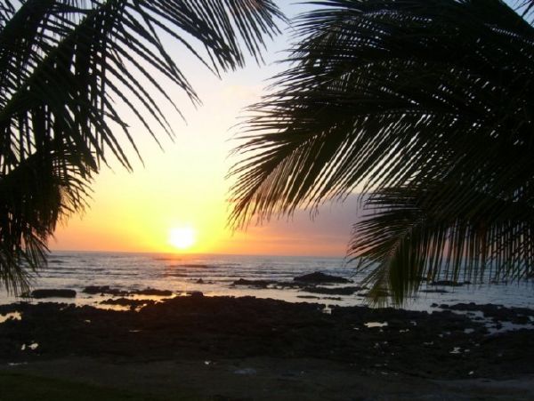 Tamarindo Home 964700
