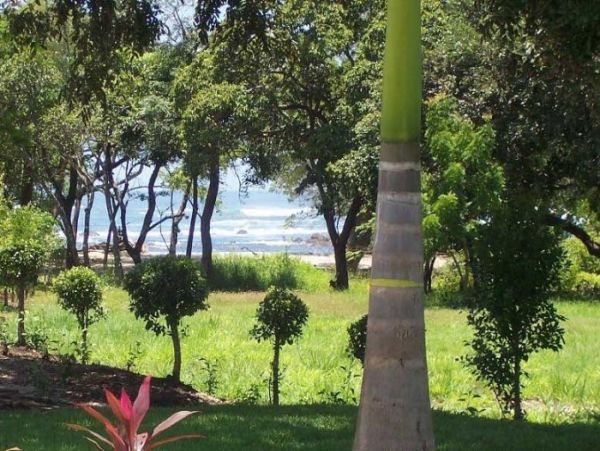 Tamarindo Home 964700
