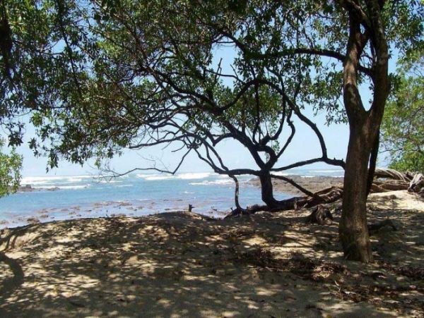 Tamarindo Home 964700