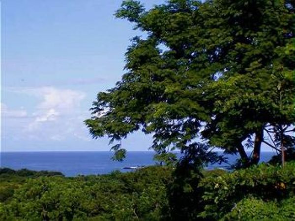 Tamarindo Home 964704