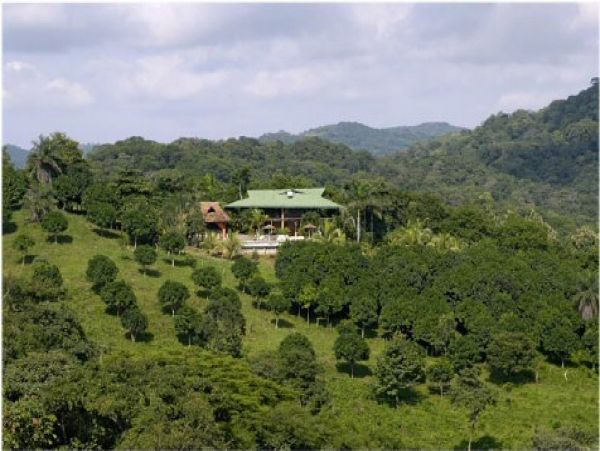 Tamarindo Home 964705