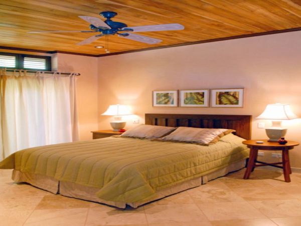 Tamarindo Home 964706