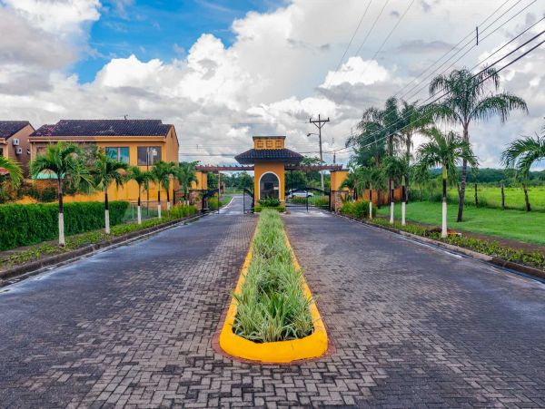 Tamarindo Home 964710