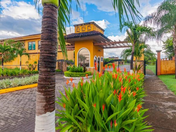 Tamarindo Home 964710