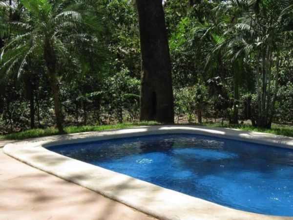 Tamarindo Home 964711