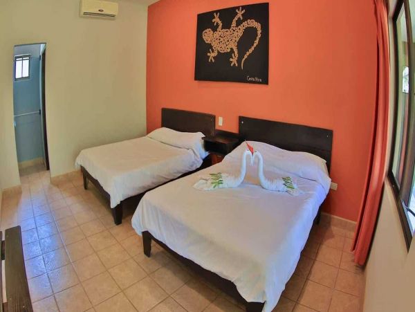 Playa Flamingo Home 964721