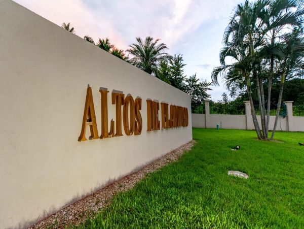 Playa Flamingo Home 964722