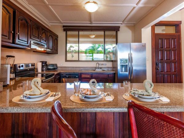 Tamarindo Condo 964740
