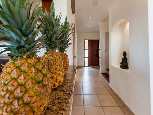 Tamarindo Home 964741