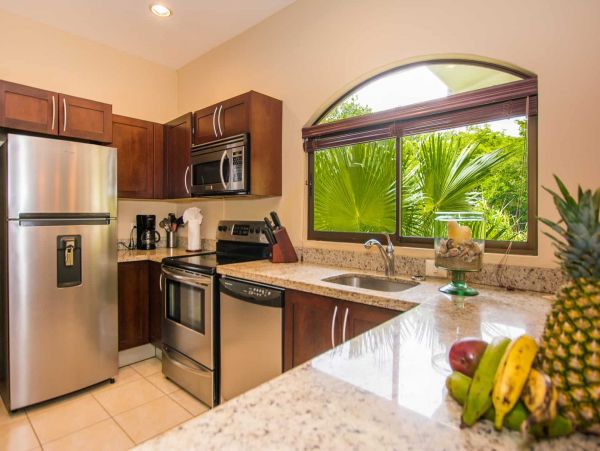 Tamarindo Condo 964743