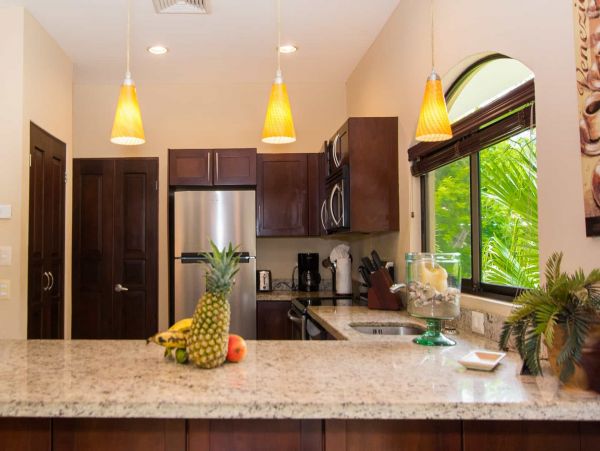 Tamarindo Condo 964743